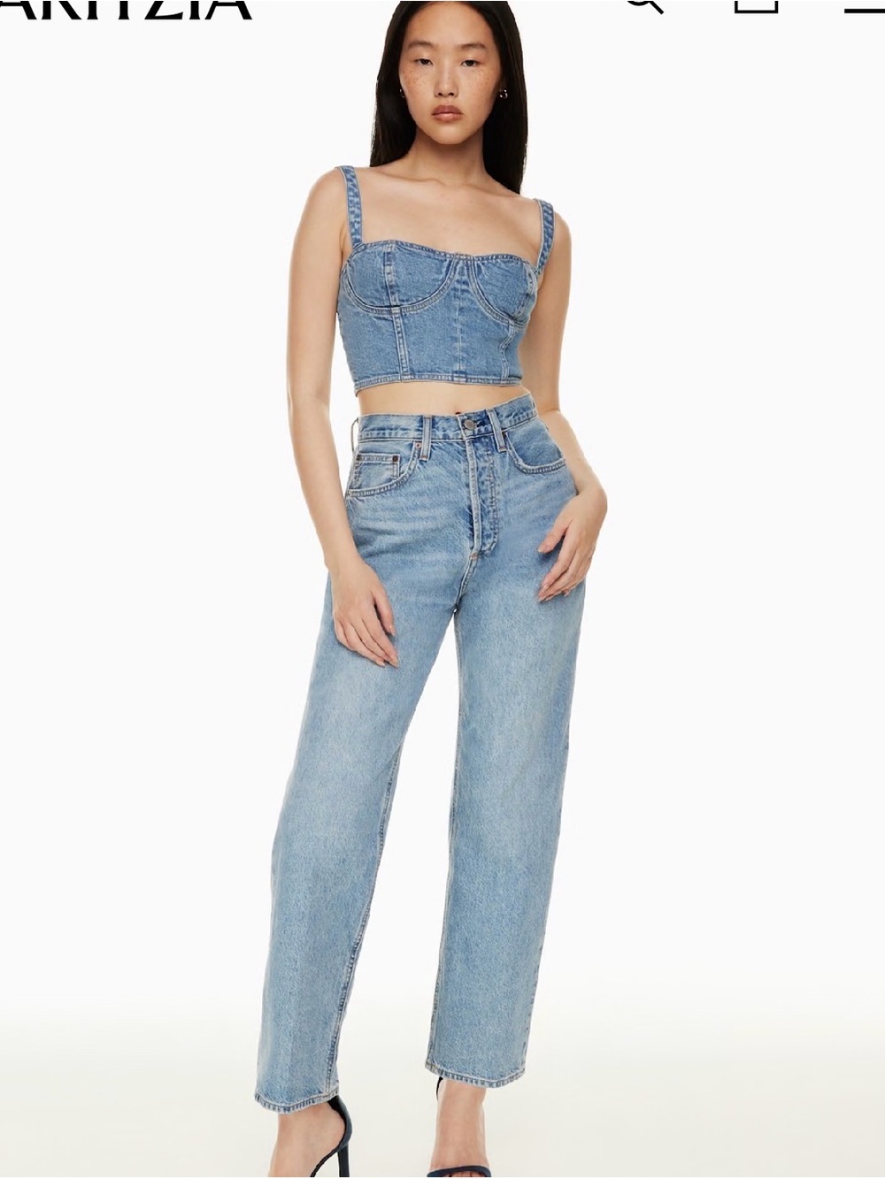 Aritzia Denim Forum The Joni High Rise Loose Jean